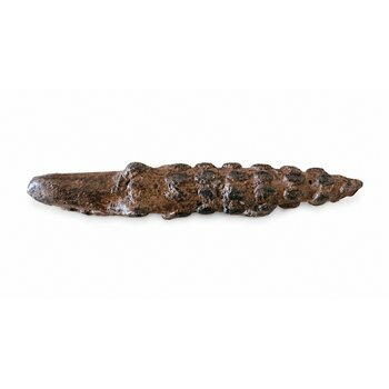 Crocodile Dogon en Bronze – Petite Sculpture Africaine Artisanale Crocodile Africain en Bronze – Figurine Dogon Texturée du Mali