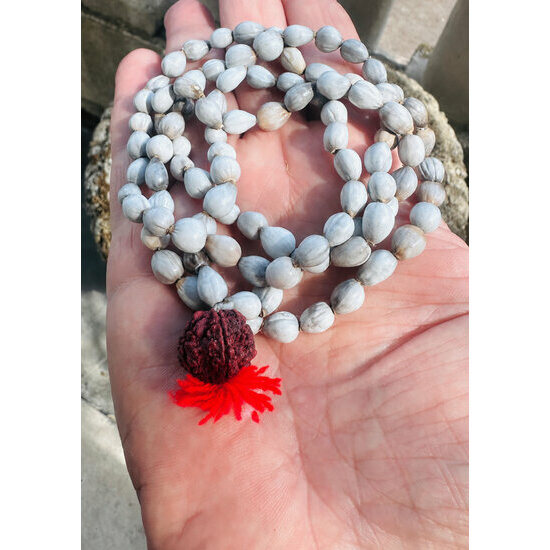 Mala en Graines Naturelles & Rudraksha – Collier de Méditation Fait Main Mala Méditation Larmes de Job – Détail Graines Naturelles et Rudraksha