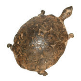 Art Dogon Bronze Animal Tortue Sculpture Africain Mali Dcoration ethnique Afrique Bombe 9 cm