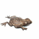 Bronze dogon grenouille